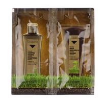 Salerm Šampūnas su argano aliejumi, 10ml + kaukė, 10ml (mėginukas)