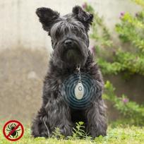 Įkraunamas ultragarsinis repelentas nuo kenkėjų naminiams gyvūnams PetRep InnovaGoods