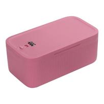 Užraktas su deriniu Sandėliavimo dėžė Atspari dulkėms Maistui tinkamas plastikas Saugos laikymo dėžė Su Mokyklai Biurui Namų naudojimui pink