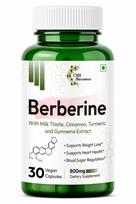 CMH Biosciences Berberine with Milk Thistle, Cinnamon, Turmeric, and Gymnema Extract | Metabolic Health and Liver Support | 30 Vegan Capsules