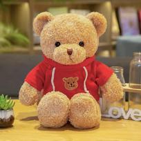 Meškio lėlės megztinis Meškio pliušinis žaislas Drabužiai Meškiukas Rags lėlė Hug Bear Mergaitė Gimtadienio dovana 30cm