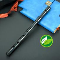 Schwinger 6 Hole Recorder Key D Resin for Beginner Portable Non-toxic Flute Recorder Kids Music