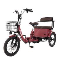 650W 48V 3 Wheels Electric Bicycle For Adult 18 Inch Folding Electric Bike 2 Seater For Old People Electric Tricycle With Basket raudona