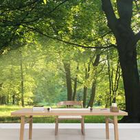 Sunlit Lush Green Forest Wallpaper Tall Trees Grass Nature Landscape Wall Mural 200 cm(W) x 140 cm(H)