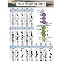 Flute Chord Chart Educational Chord Poster Finger Placement Reference Poster Music Wall Art For Teachers Students