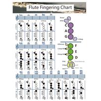 Flute Chord Chart Educational Chord Poster Finger Placement Reference Poster Music Wall Art For Teachers Students