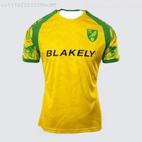 26/27 Norwich City Season Football Jersey Short Sleeve Unisex Fan Training Sports Top Family Matching 2XL