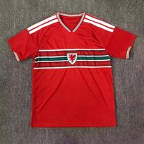 Wales 2026 World Cup Home and Away Jerseys Quick-Drying Match and Training Kits Fan Version S gray