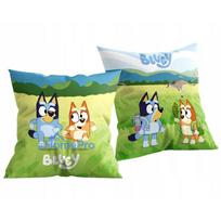Bluey Sunny Day decorative pillow 38x38 cm velvet