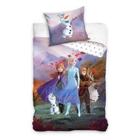 Disney Frozen Awakens bedding set 140x200cm, 70x90 cm