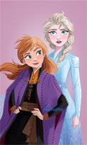 Disney Frozen Grace hand towel, face towel, towel 30x50cm