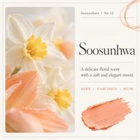 HETRAS Premium Perfume Solid Deodorizer Plant-Derived Odor Care Home Fragrance 300g × 2 No12 Soosunhwa