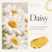 HETRAS Premium Perfume Solid Deodorizer Plant-Derived Odor Care Home Fragrance 300g × 2 No29 Daisy