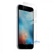 Screen protection glass Apple iPhone SE 2020 / SE 2022 / 8 / 7 / 6 / 6S bulk