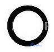 Samsung G998 S21 Ultra lens for camera Black (lens Tele) 1pcs (service pack)