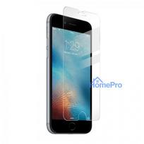 Screen protection glass Apple iPhone 6 Plus / 6S Plus / 7 Plus / 8 Plus bulk