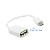 Adapter from MicroUSB to USB (OTG)