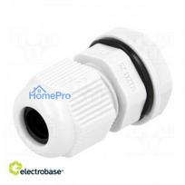 Cable gland, M12, 1.25, IP68, Mat: polyamide, grey, UL94V-2, 12.1 mm