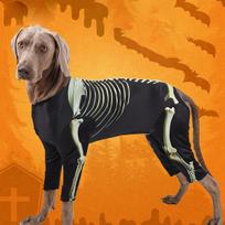 Pet Dog Halloween Costume Skeleton Dog Transformation Outfit Comfortable and Cool Large Dog Clothes Pet Supplies L