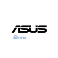 ASUS ProArt PA401 Wood Edition Beige - Metal Panel