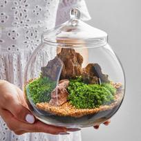 Glass Terrarium, Plant Container, Sealed Storage Jar, Centerpiece Planter Jar Micro Landscape white
