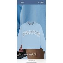 PARKE embroidered hooded sweater women's autumn and winter fitness sports long-sleeved casual outer wear women's clothing XXL gray