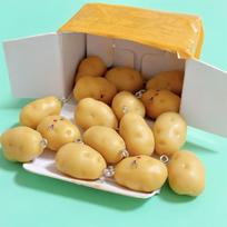 Rankų darbo papuošalų pakabukai priedams, 3D Miniature Potato