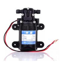 Micro High Pressure Diaphragm Pump Agricultural Water Easy Carrying Electric Sprayer
