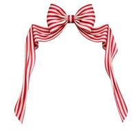 Christmas Decoration Large 40 120 for Holiday Home Decor One Size white