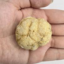 Agato geoda, 1 vnt, 3 cm–4 cm / 1,18–1,57 colio