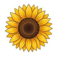Sunflower Iron On DTF Print Motif for T Shirt Hoodie Pocket 3XL