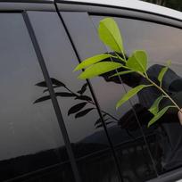 4pcs Glossy Black  Pillar Post  Carbon Fiber  ForVW Golf 4 MK4 1997-2003 1998 1999 2000 2001 Window Door Deal B CCover Sticker