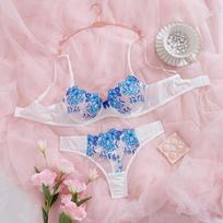 Lace bra embroidered sexy underwear set new flirting ultra-thin bra gather S gray