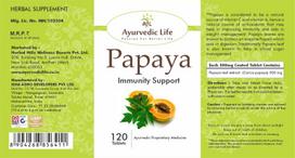 Ayurvedic Life Papaya 120 tablets