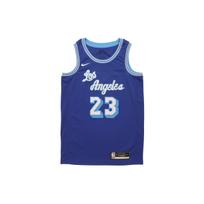 Nike NBA Lakers 2020 LeBron James Classic Swingman marškinėliai Rush Blue Vyrams CN1027-404 S gray
