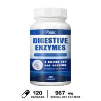 Digestive Enzymes Probiotics Prebiotics Capsules 120 Count — Digestive Support, Gut Health Support, Daily Wellness 120*1