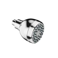 2.5 Gallon 3-Inch Replacement Shower Head