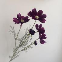 Vandeninė eglė Chrizantema Dirbtinė gėlė One Size blue