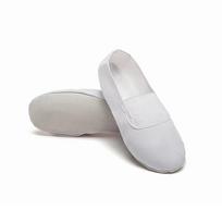Suaugusiųjų vaikų gimnastikos batai, šokių batai, baleto bateliai, jogos batai, „Cat's Claw White Teacher“ šokių batai minkštu padu 45 white