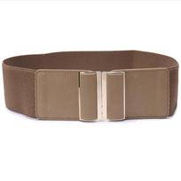 Moteriškas platus elastinis diržas juosmeniui sutraukti Tampri suknelė Didelis dydis Moteriškas juosmens sandariklis 9 spalvos 85cm(Waist 85-135cm) brown