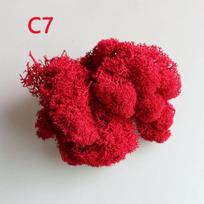 Decoration Home Decor Flower Artificial plant Micro Landscape Reindeer Moss Eternal Life Moss C7
