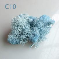 Decoration Home Decor Flower Artificial plant Micro Landscape Reindeer Moss Eternal Life Moss C10