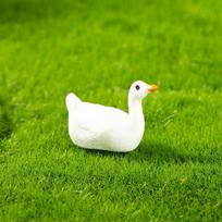 5pcs Mini Duck Duckling Model Moss Micro-Landscape Creative Adorable Figurine Decorative Miniature Office Desk Ornament white