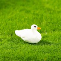 5pcs Mini Duck Duckling Model Moss Micro-Landscape Creative Adorable Figurine Decorative Miniature Office Desk Ornament