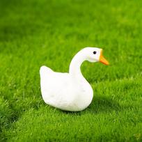 5pcs Mini Duck Duckling Model Moss Micro-Landscape Creative Adorable Figurine Decorative Miniature Office Desk Ornament