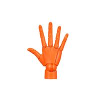 Right Articulated Hand Model Adjustable Flexible Hand Finger Joint Figurine Hand Finger Joint Figurine Poseable