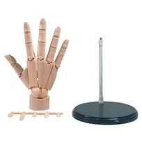 Left/Right Articulated Hand Model Adjustable Flexible Hand Finger Joint Figurine Poseable Hand Finger Joint Figurine