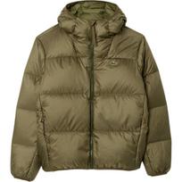 LACOSTE Down Jacket Men's Olive Green BH7841-BMY 48 gray