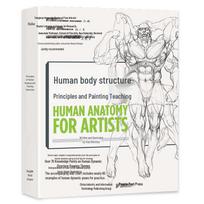 Anime ir meninės žmogaus anatomijos piešimo vadovų įvaldymas gray
