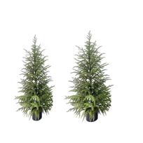 CM Norfolk  Christmas Tree Front Door Christmas Tree Decoration Indoor Living Room Christmas Decoration One Size gray